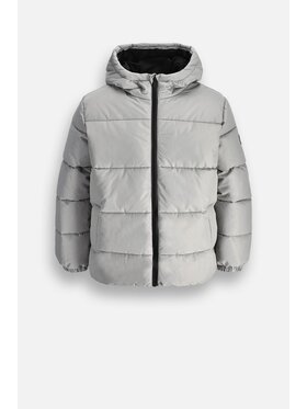 Coccodrillo Coccodrillo Zimní bunda ZC6152105OBJ-019 Šedá Regular Fit