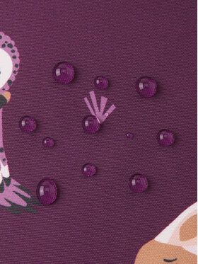 Βρεφικό φορμάκι εξόδου Reima φωτογραφία