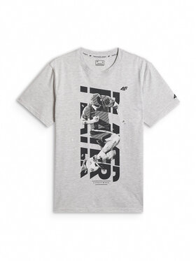 4F 4F T-Shirt casual Szary jasny Regular Fit