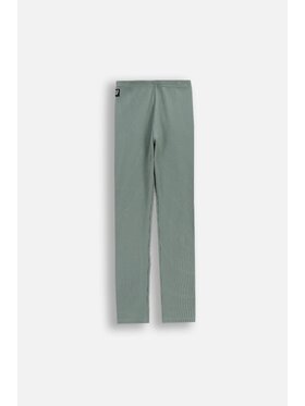 Coccodrillo Coccodrillo Legginsy WC6122103RGJ-011 Zielony