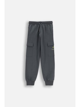 Coccodrillo Coccodrillo Teplákové nohavice WC6120103NBJ-020 Sivá Regular Fit