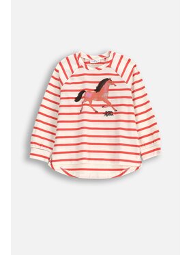 Coccodrillo Coccodrillo T-Shirt WC5143103NGK-022 Kolorowy Regular Fit
