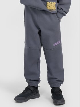 4F 4F Spodnie dresowe 4FJRAW25TTROM1605-22S Czarny Regular Fit