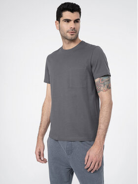 4F 4F T-shirt 4FSS23TTSHM297 Gris Regular Fit