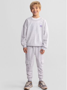 minoti minoti Spodnie dresowe 29FLEECE283 Szary Regular Fit