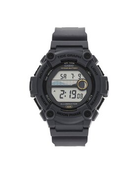 Casio Casio Sat WS-1300H-8AVEF Siva