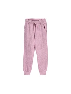 Coccodrillo Coccodrillo Teplákové kalhoty ZC6120101HGK-016 Fialová Regular Fit