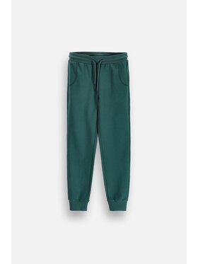 Coccodrillo Coccodrillo Spodnie dresowe ZC6122701VBA-011 Zielony Regular Fit