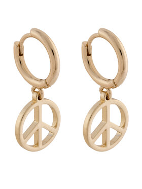 Σετ σκουλαρίκια Aldo φωτογραφία