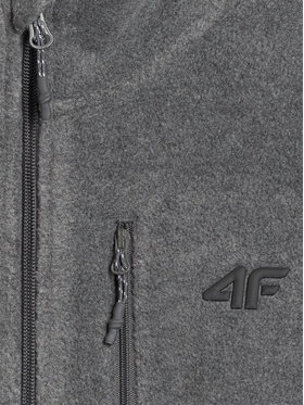 4F 4F Polar NOS Szary ciemny Regular Fit