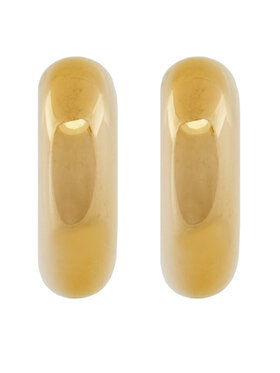 Σκουλαρίκι Aldo φωτογραφία