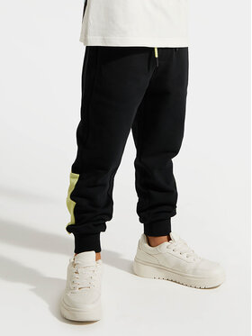 Coccodrillo Coccodrillo Спортивні штани ZC4120103WBK Чорний Regular Fit