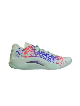 Nike Nike Buty do koszykówki DR0675-300 Kolorowy