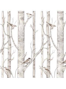 Dekornik Dekornik Tapeta Birch Forest Biały
