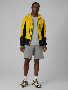 4F 4F Szorty sportowe TREKKING Szary Regular Fit