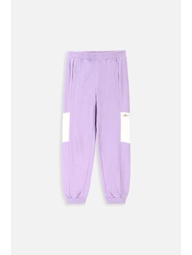 Lemon Explore Lemon Explore Spodnie dresowe ZL3120106CJG-022 Kolorowy Regular Fit