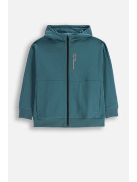 Coccodrillo Coccodrillo Mikina ZC5132601CBJ-014 Modrá Regular Fit