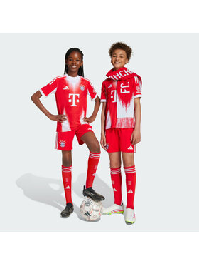 adidas adidas Szorty sportowe 154883 Czerwony Regular Fit