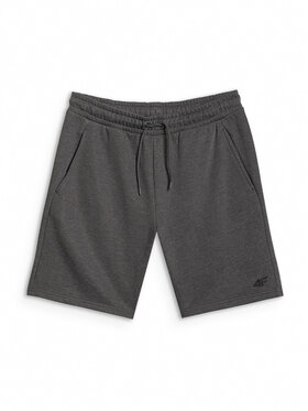 4F 4F Športové kraťasy BASIC+ Tmavosivá Regular Fit