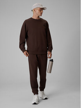 4F 4F Spodnie dresowe BASIC+ Brązowy Regular Fit