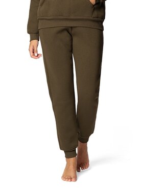DKaren Sport DKaren Sport Spodnie dresowe DK-K-B6 Khaki Regular Fit