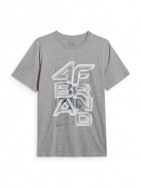 4F 4F T-Shirt WINTER CODE Szary jasny Regular Fit