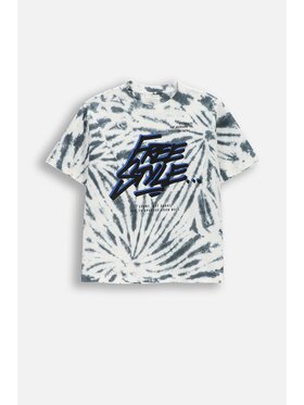 Coccodrillo Coccodrillo T-Shirt WC6143204RBJ-022 Barevná Regular Fit