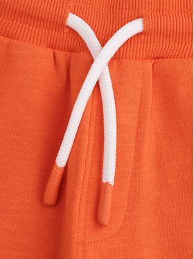 Αθλητικό σορτς Coccodrillo φωτογραφία