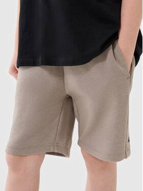 4F 4F Szorty 4FJWSS25TSHOM600-83s Brązowy Regular Fit