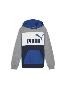 Puma Puma Bluza 679718 Kolorowy Regular Fit