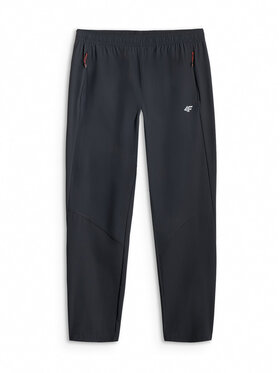 4F 4F Spodnie outdoor TREKKING Czarny Regular Fit