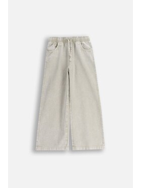 Coccodrillo Coccodrillo Spodnie materiałowe WC6119109CTG-019 Szary Regular Fit