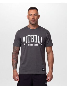 PITBULL PITBULL T-Shirt NORTON Szary Regular Fit