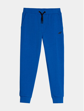 4F 4F Спортивні штани 4FJAW23TTROM410 Голубий Regular Fit