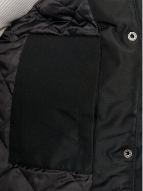 Parka Whistler φωτογραφία