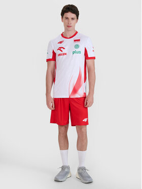 4F 4F Szorty sportowe TEAMWEAR Kolorowy Regular Fit