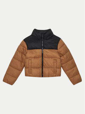 4F 4F Зимова куртка 4FJWAW24TDJAM461 Коричневий Regular Fit