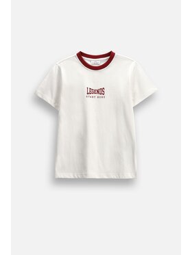 Coccodrillo Coccodrillo T-Shirt ZC6143204ABJ-003 Kremowy Regular Fit