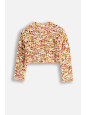 Coccodrillo Coccodrillo Sweter WC5172103NGJ-022 Kolorowy Regular Fit