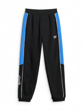 4F 4F Spodnie dresowe ESPORTS RACING Czarny Regular Fit