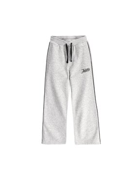 Coccodrillo Coccodrillo Spodnie dresowe ZC6120201SGJ-019 Szary Regular Fit