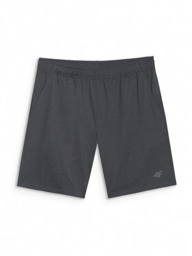 4F 4F Športové kraťasy MULTI ACTIVE Tmavosivá Regular Fit