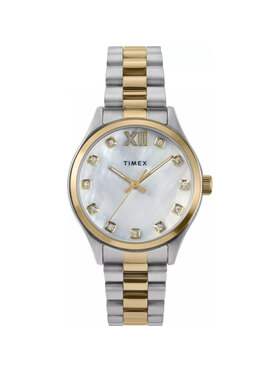 Timex Timex Hodinky TW2W85500 Stříbrná
