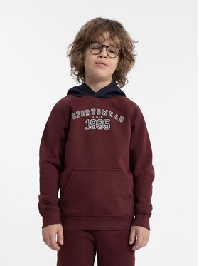 4F 4F Sweatshirt 4FJAW23TSWSM651 Dunkelrot Regular Fit