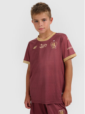 4F 4F Koszulka techniczna TEAMWEAR Kolorowy Regular Fit