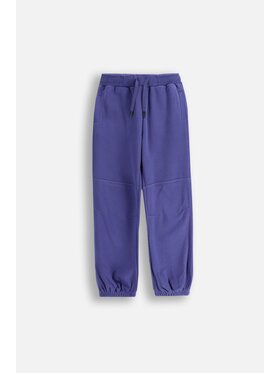 Coccodrillo Coccodrillo Spodnie dresowe WC5120101CGJ-014 Niebieski Regular Fit