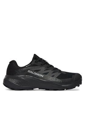 Salomon Salomon Pantofi pentru alergare Alphaglide Gtx W L49214400 Bleumarin