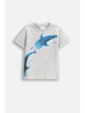 Coccodrillo Coccodrillo T-Shirt WC5143205IBK-019 Szary Regular Fit