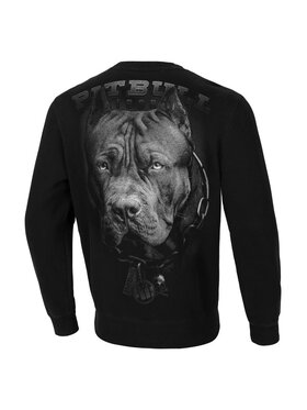 PITBULL PITBULL Bluza Bluza Czarny Regular Fit