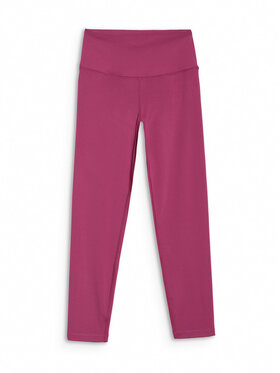 4F 4F Legginsy MULTI ACTIVE Bordowy Slim Fit